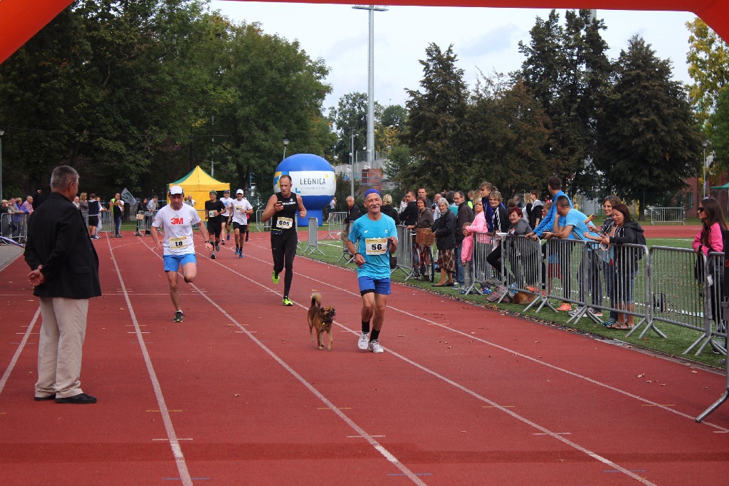 Tak finiszowali  uczestnicy Legnickiego Półmaratonu (3)