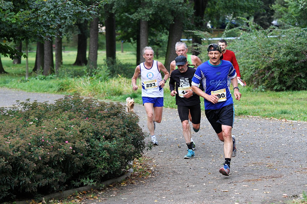 Ponad 400 biegaczy wystartowało w Legnickim Półmaratonie (1)