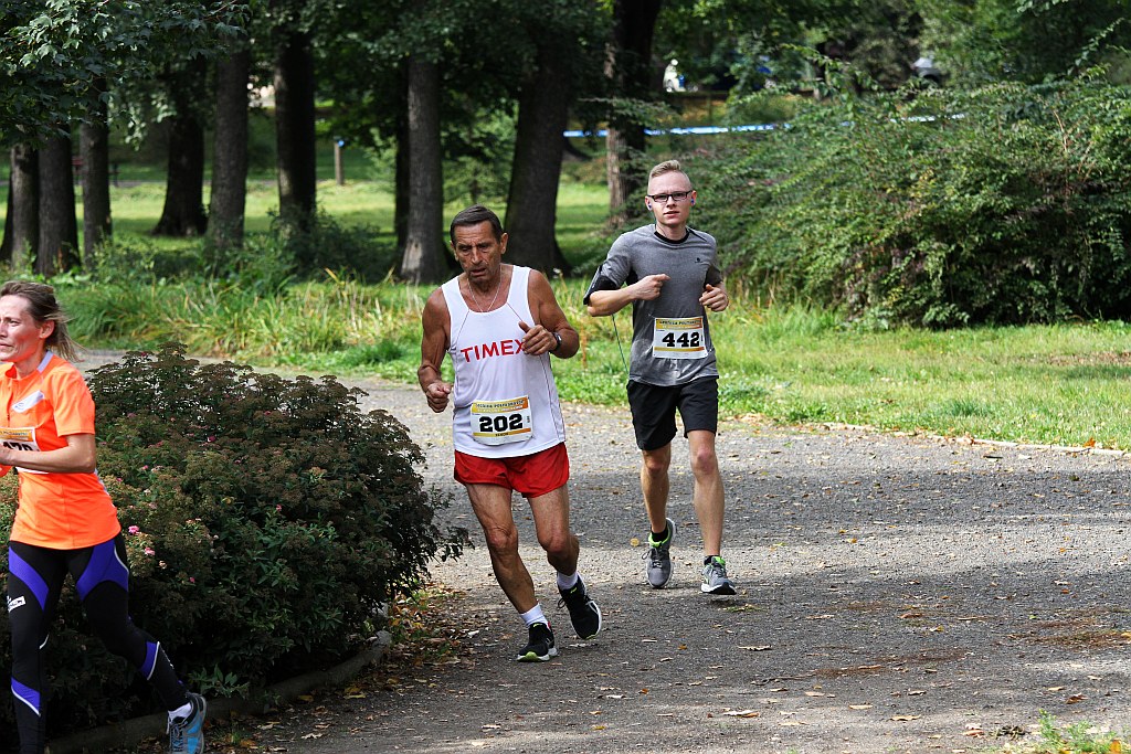 Ponad 400 biegaczy wystartowało w Legnickim Półmaratonie (1)