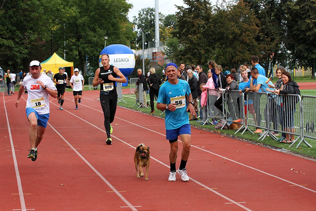 Ponad 400 biegaczy wystartowało w Legnickim Półmaratonie (1)