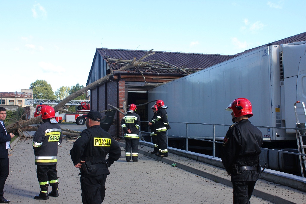 Strażacy usuwają drzewo, które runęło na sklep i samochód