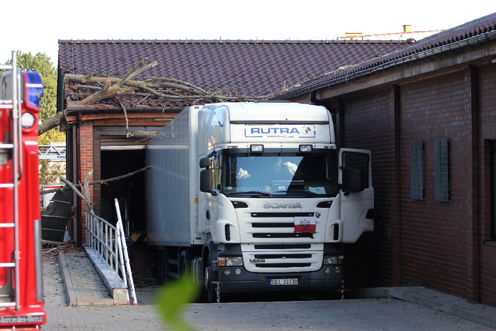 Strażacy usuwają drzewo, które runęło na sklep i samochód