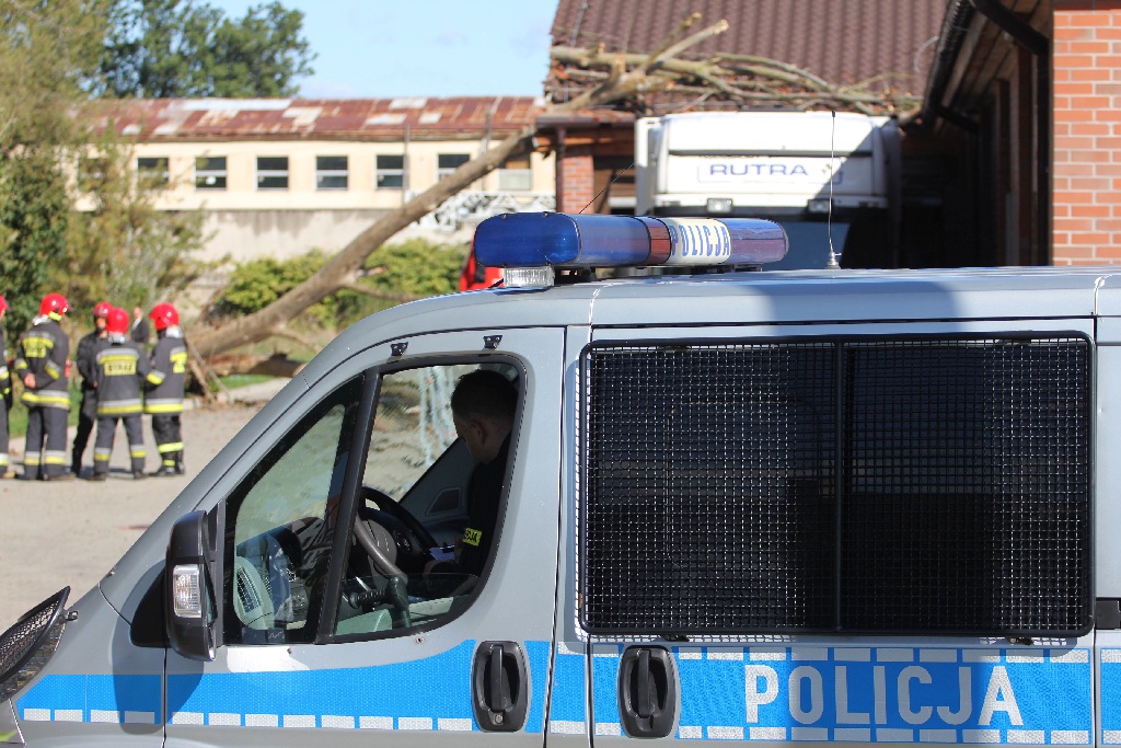 Strażacy usuwają drzewo, które runęło na sklep i samochód
