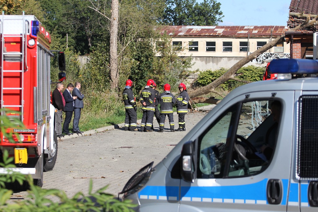 Strażacy usuwają drzewo, które runęło na sklep i samochód