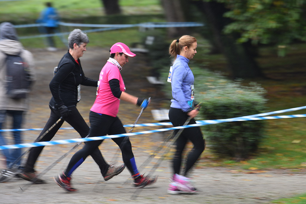 Szli z kijkami po medale mistrzostw i pucharu Europy