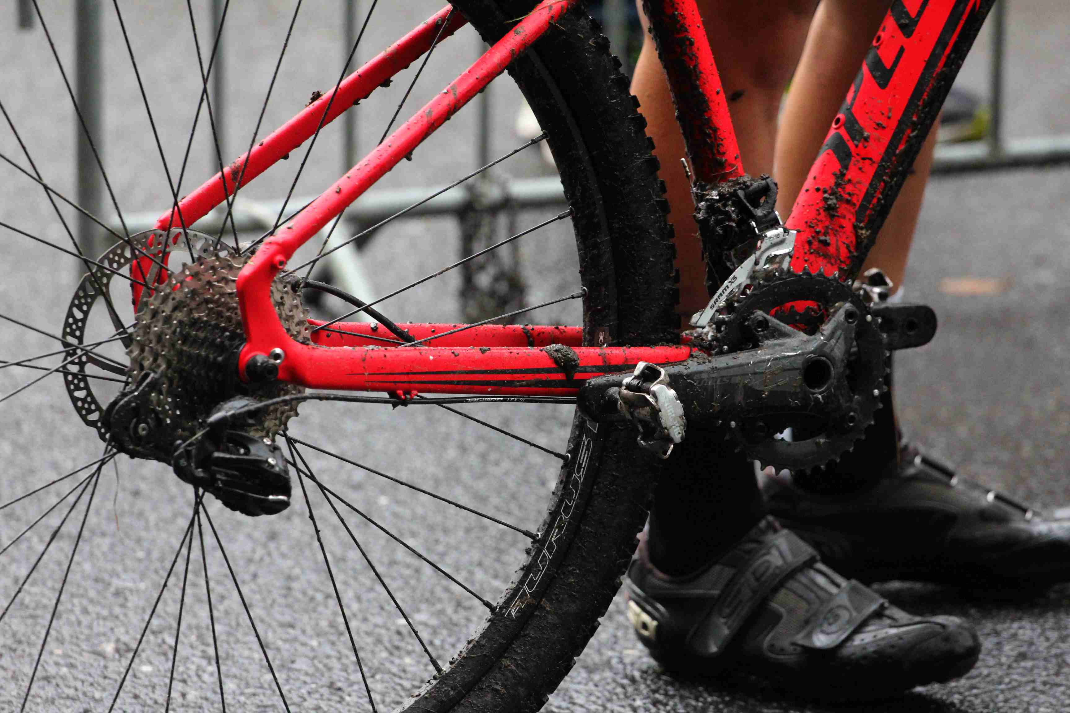 W Chojnowie kolarze MTB ścigali się w mistrzostwach województwa