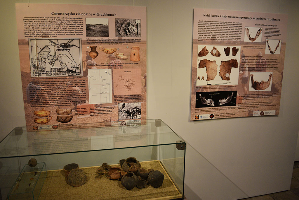 Muzeum Miedzi zaprasza na unikatową wystawę archeologiczną
