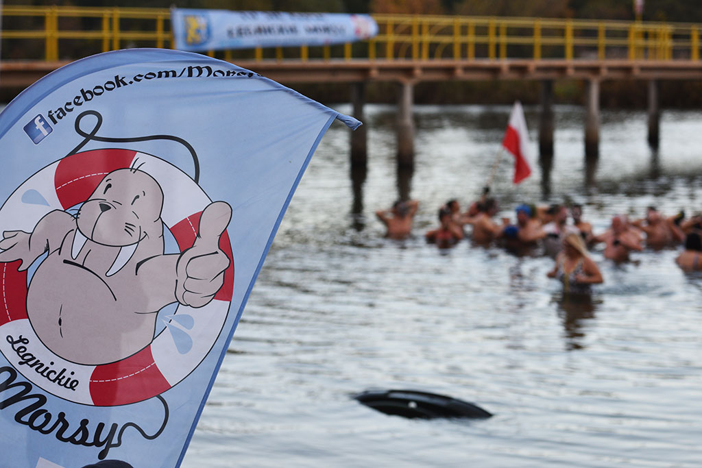 Legnickie Morsy rozpoczęły sezon na kąpielisku Kormoran