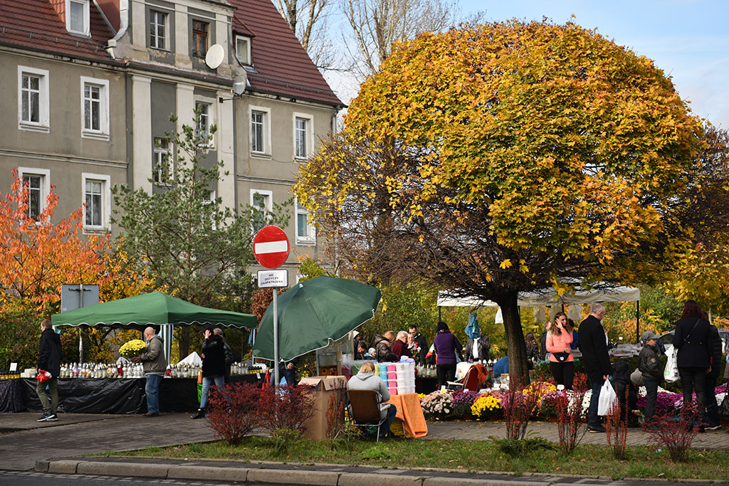 Dziś 1 listopada. Wszyscy odwiedzamy groby najbliższych