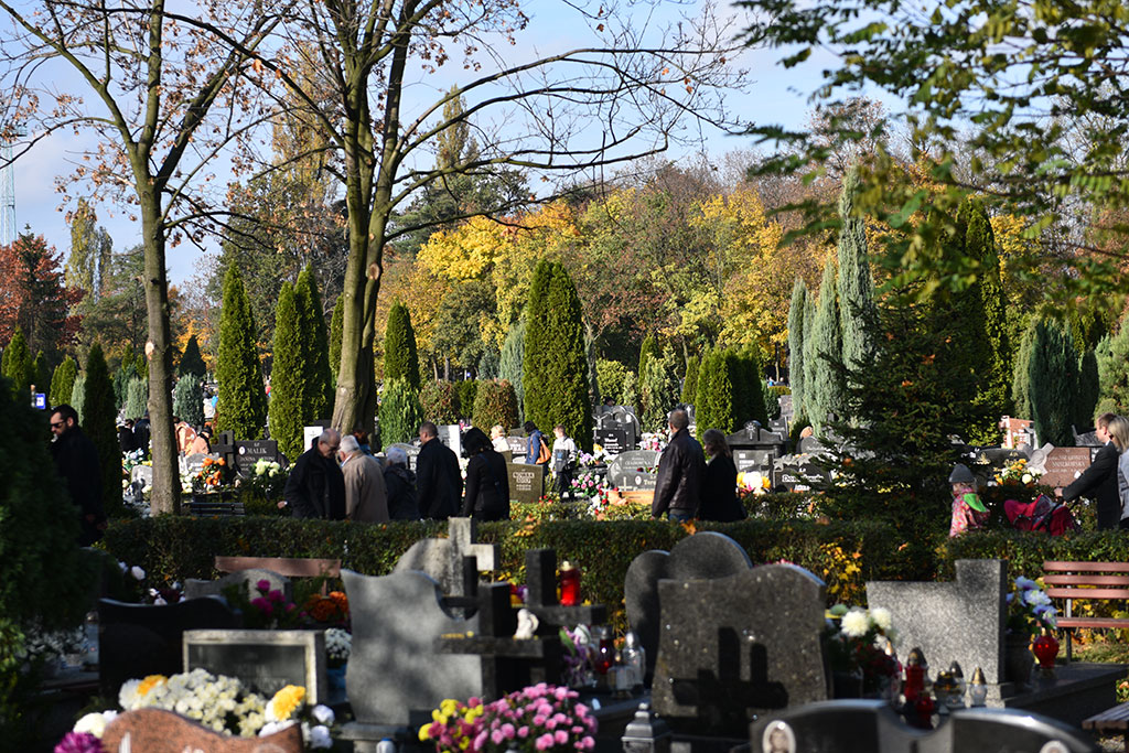 Dziś 1 listopada. Wszyscy odwiedzamy groby najbliższych