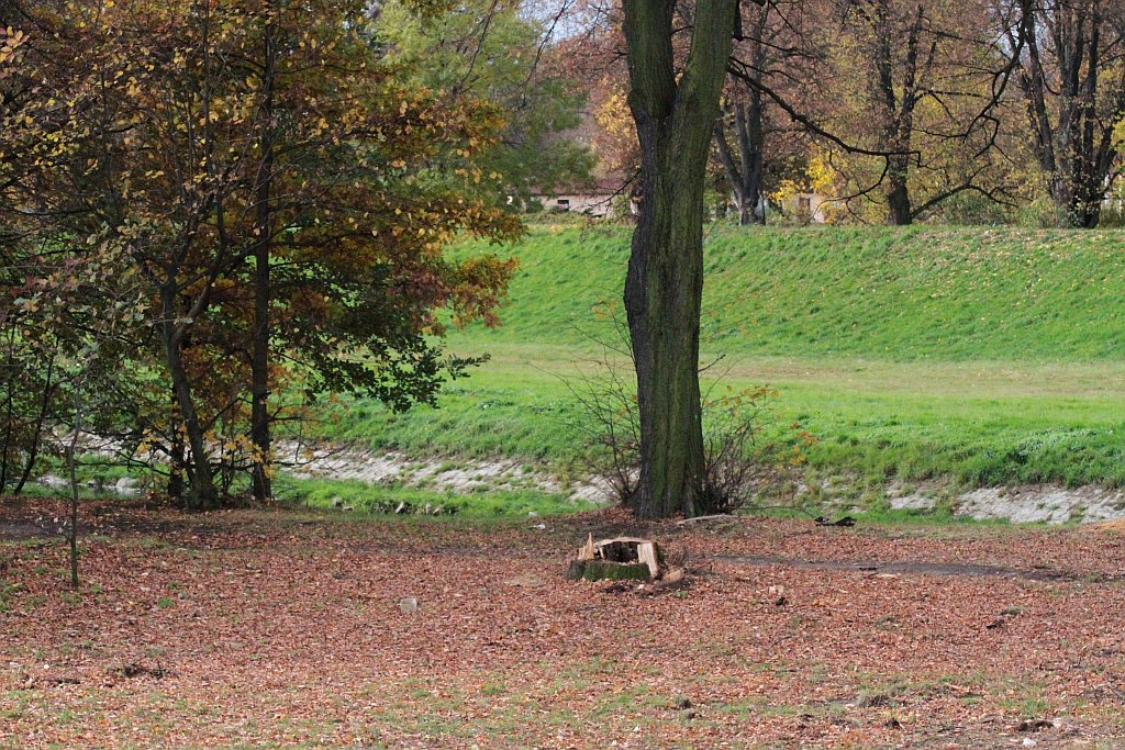 Trwają prace na legnickiej zbiorczej drodze południowej