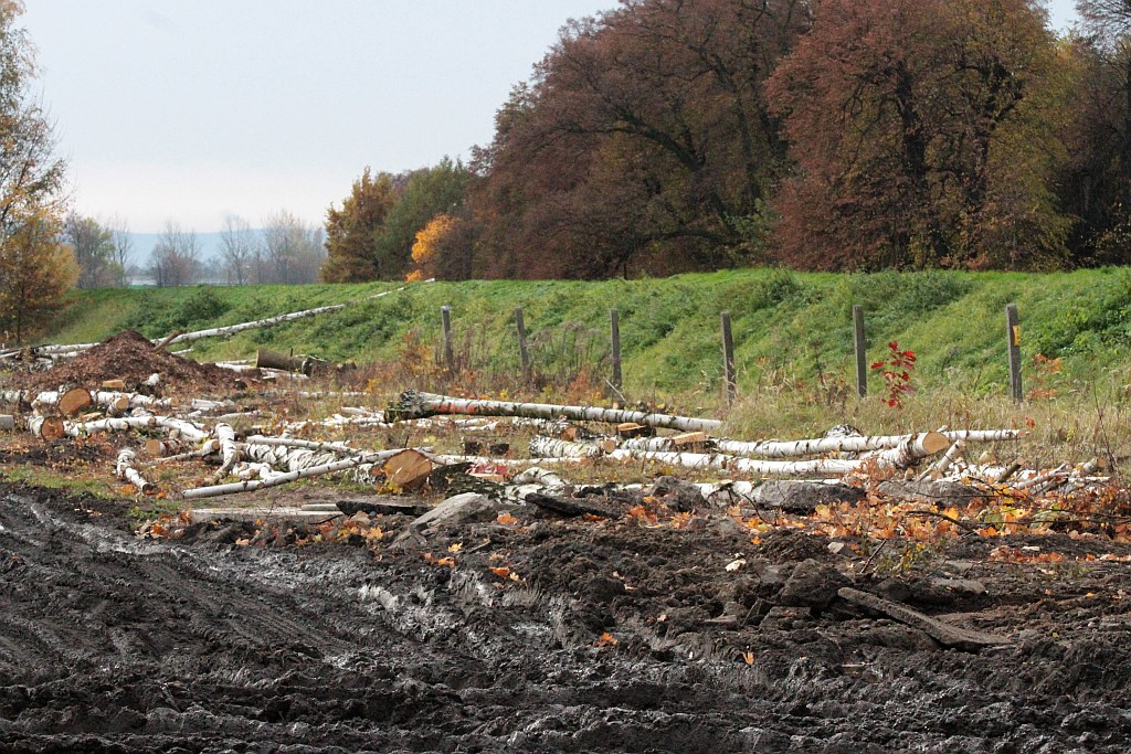 Trwają prace na legnickiej zbiorczej drodze południowej