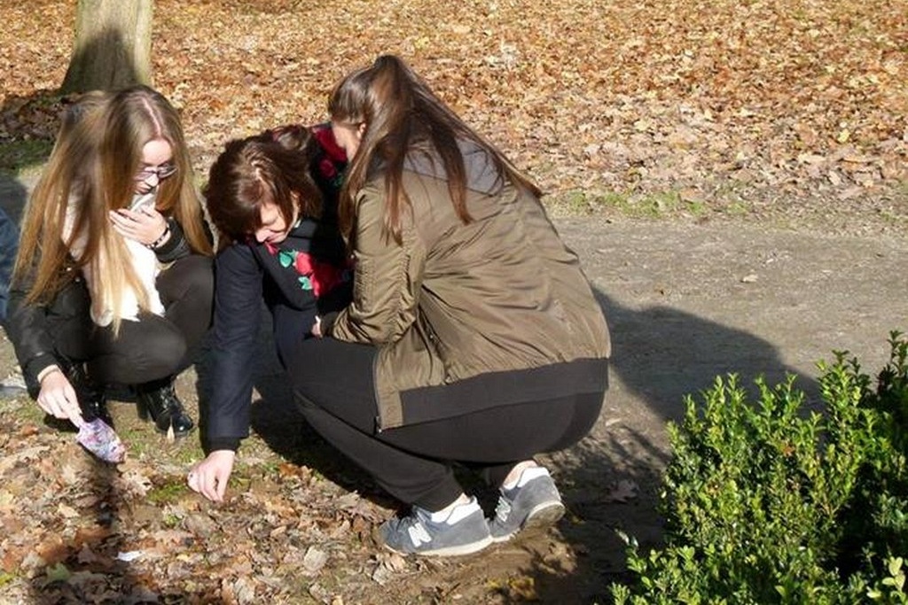W Prochowicach został otwarty zrewitalizowany park przyzamkowy