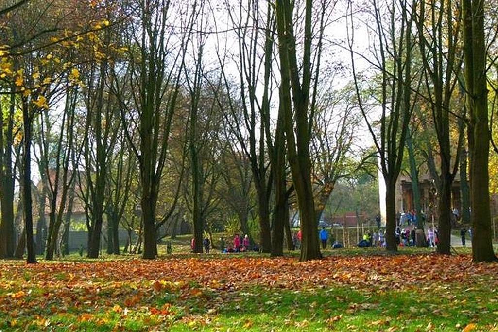 W Prochowicach został otwarty zrewitalizowany park przyzamkowy