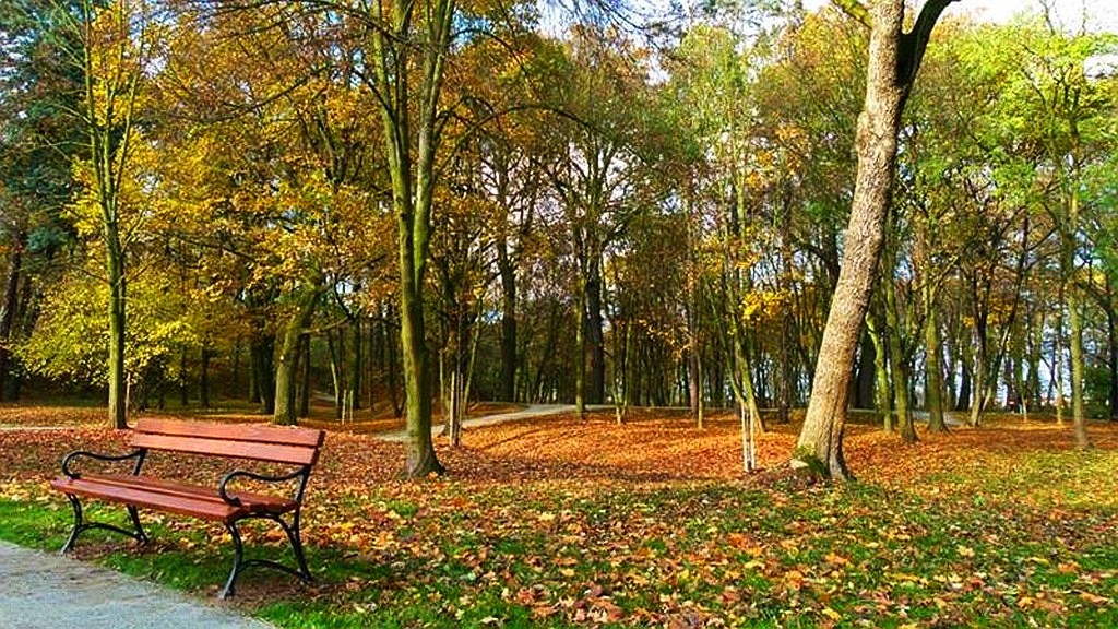 W Prochowicach został otwarty zrewitalizowany park przyzamkowy