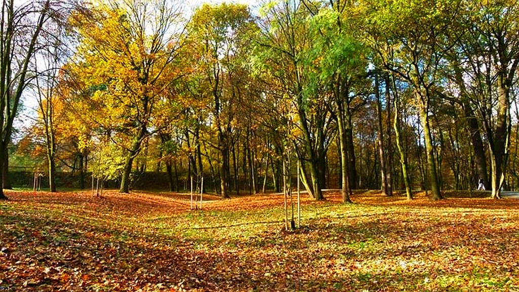 W Prochowicach został otwarty zrewitalizowany park przyzamkowy
