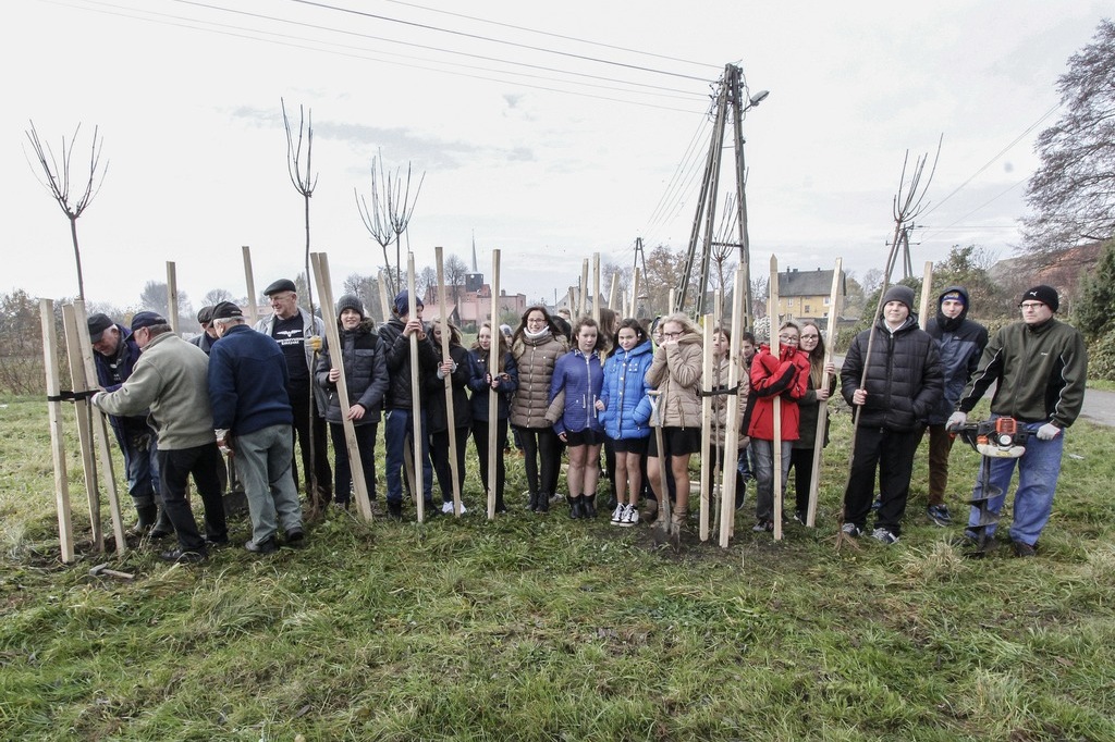 W Miłkowicach zakończył się projekt  „Kolej na drzewa”