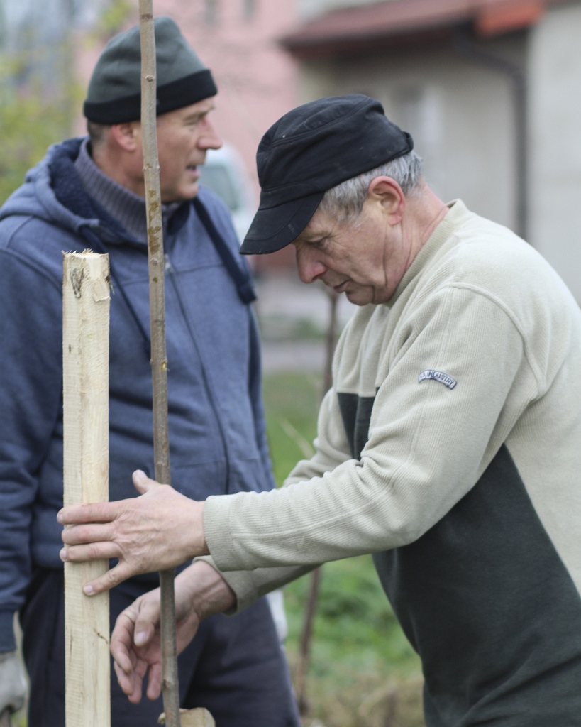 W Miłkowicach zakończył się projekt  „Kolej na drzewa”
