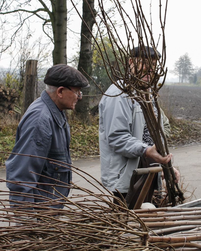 W Miłkowicach zakończył się projekt  „Kolej na drzewa”