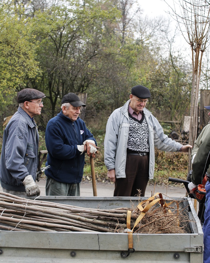 W Miłkowicach zakończył się projekt  „Kolej na drzewa”