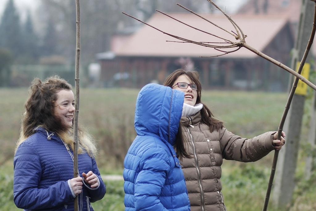 W Miłkowicach zakończył się projekt  „Kolej na drzewa”