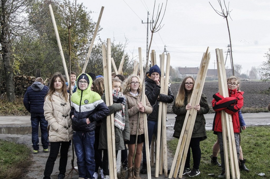 W Miłkowicach zakończył się projekt  „Kolej na drzewa”