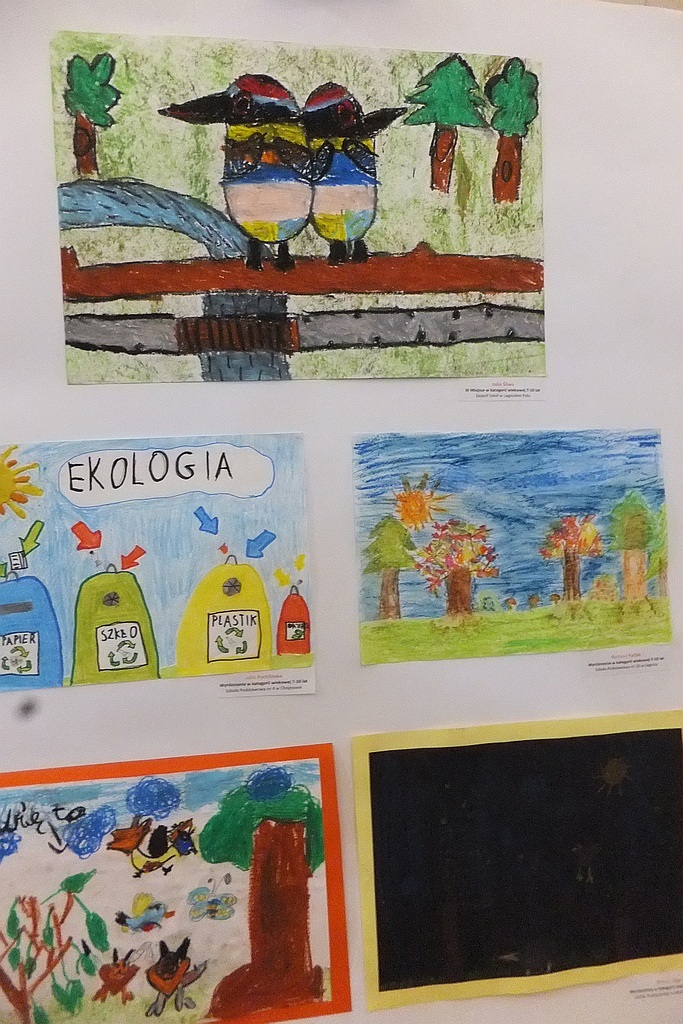 X edycja konkursu „Chrońmy Przyrodę Ojczystą” podsumowana