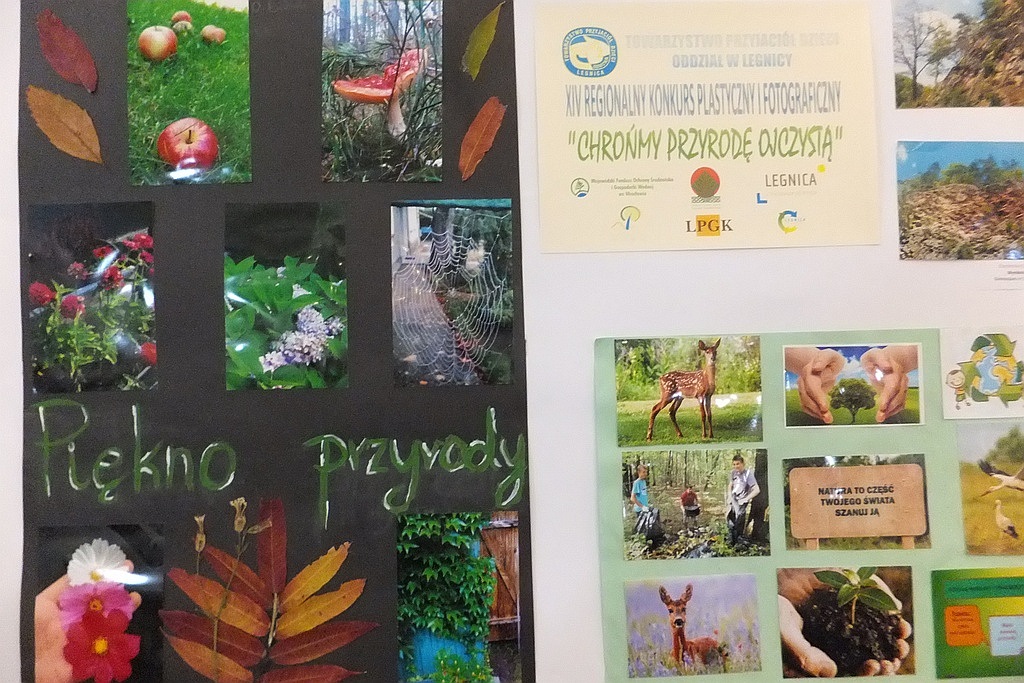 X edycja konkursu „Chrońmy Przyrodę Ojczystą” podsumowana