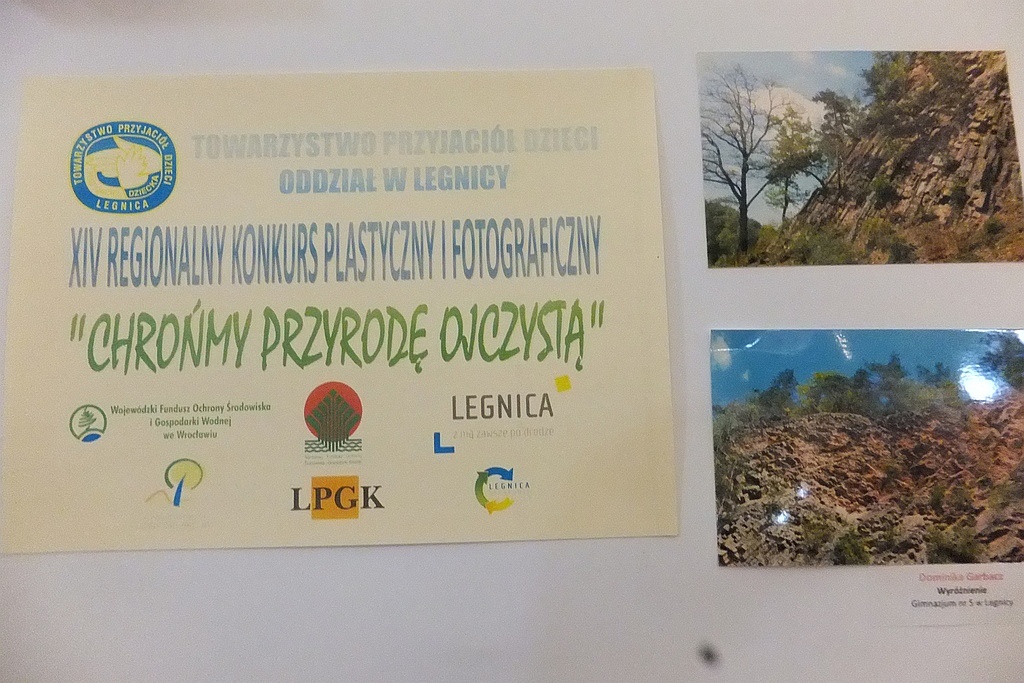 X edycja konkursu „Chrońmy Przyrodę Ojczystą” podsumowana