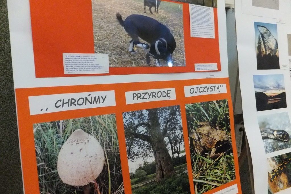 X edycja konkursu „Chrońmy Przyrodę Ojczystą” podsumowana