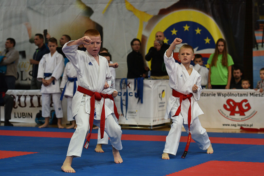 XVII CUPRUM CUP – International Karate WKF Polish Open 2016.Cz.2
