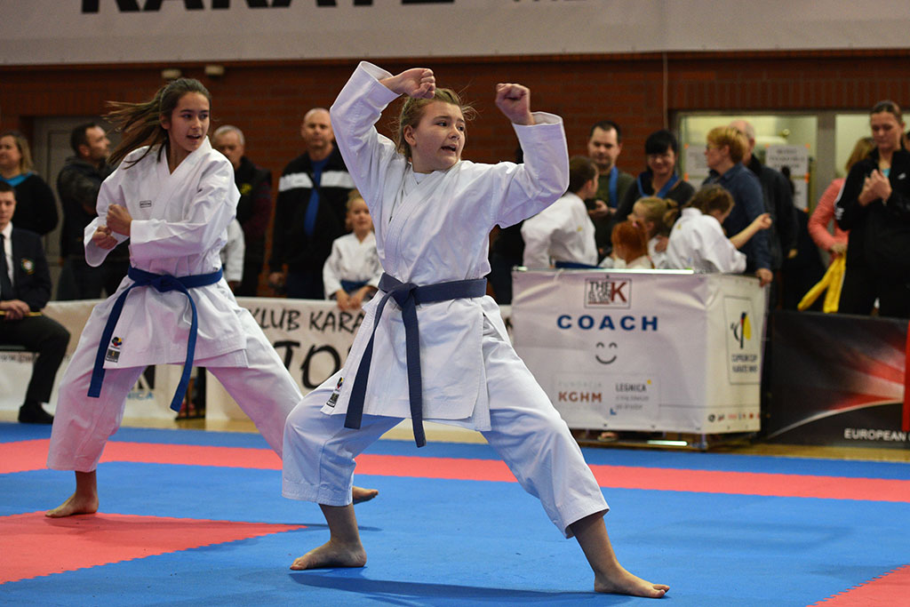XVII CUPRUM CUP – International Karate WKF Polish Open 2016.Cz.2