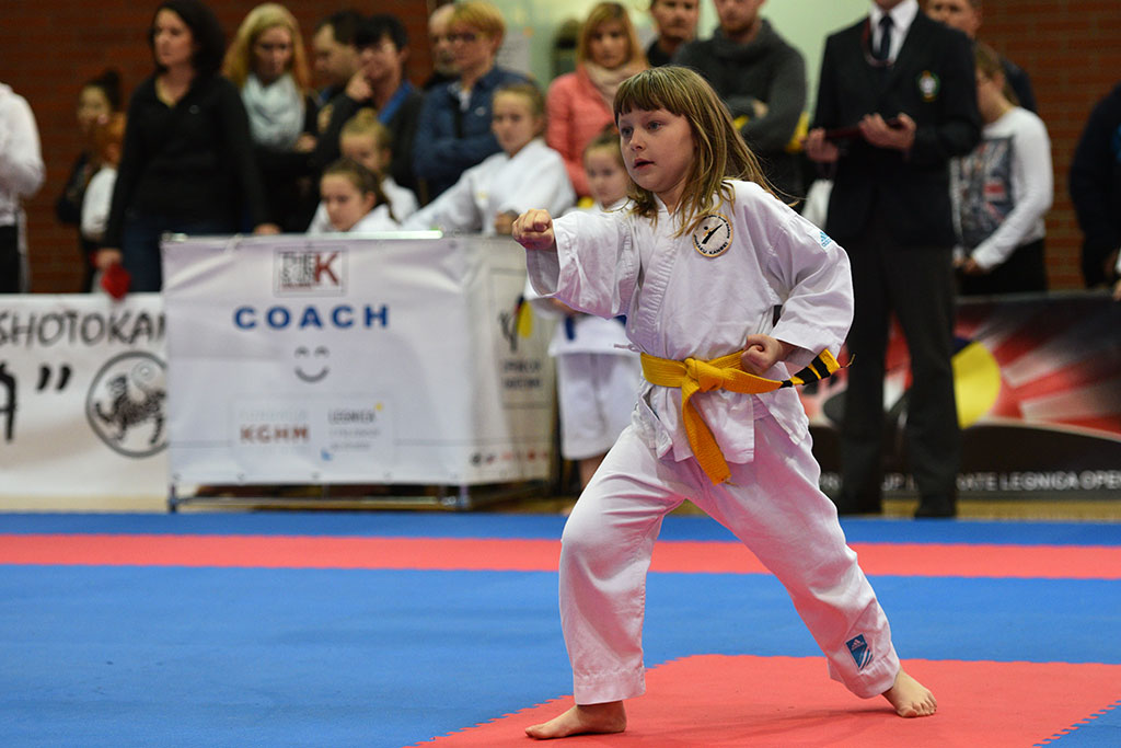 XVII CUPRUM CUP – International Karate WKF Polish Open 2016.Cz.2