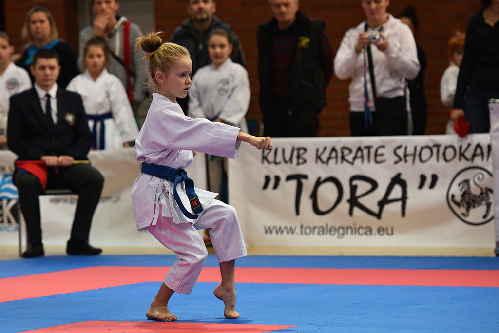 XVII CUPRUM CUP – International Karate WKF Polish Open 2016.Cz.2