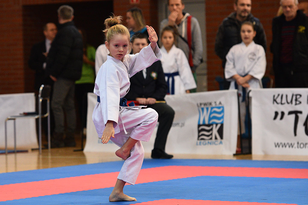 XVII CUPRUM CUP – International Karate WKF Polish Open 2016.Cz.2