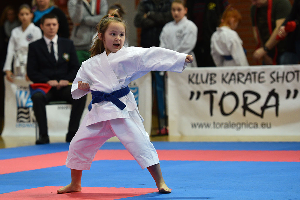 XVII CUPRUM CUP – International Karate WKF Polish Open 2016.Cz.2