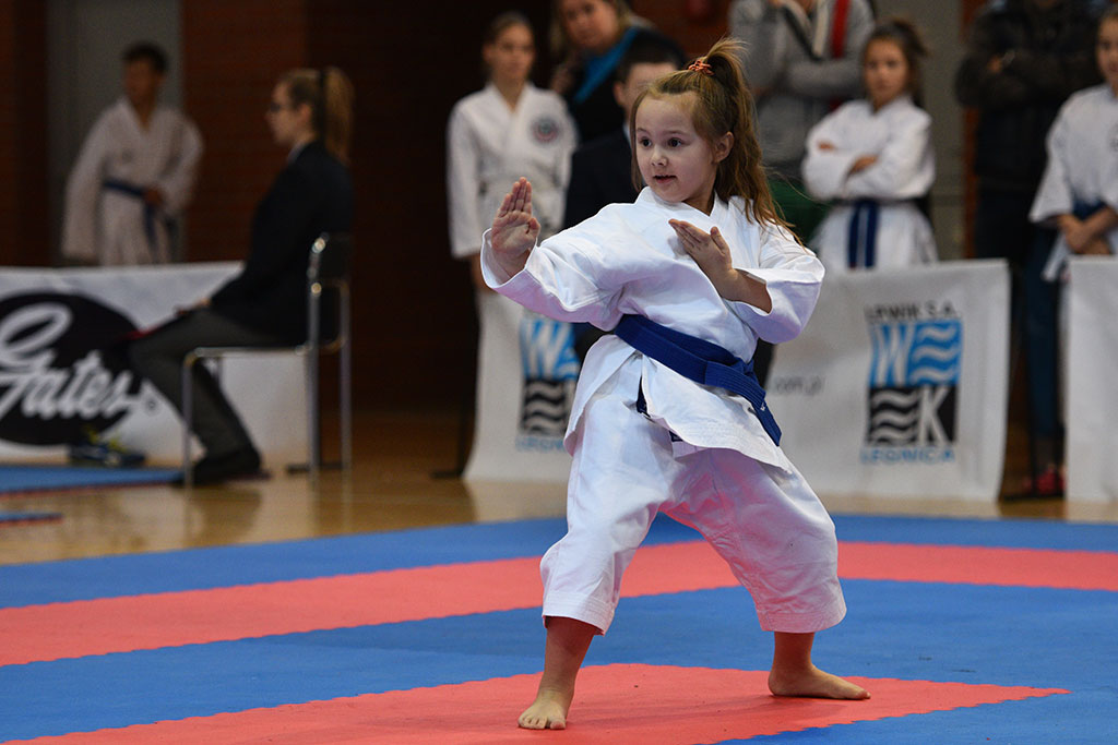 XVII CUPRUM CUP – International Karate WKF Polish Open 2016.Cz.2