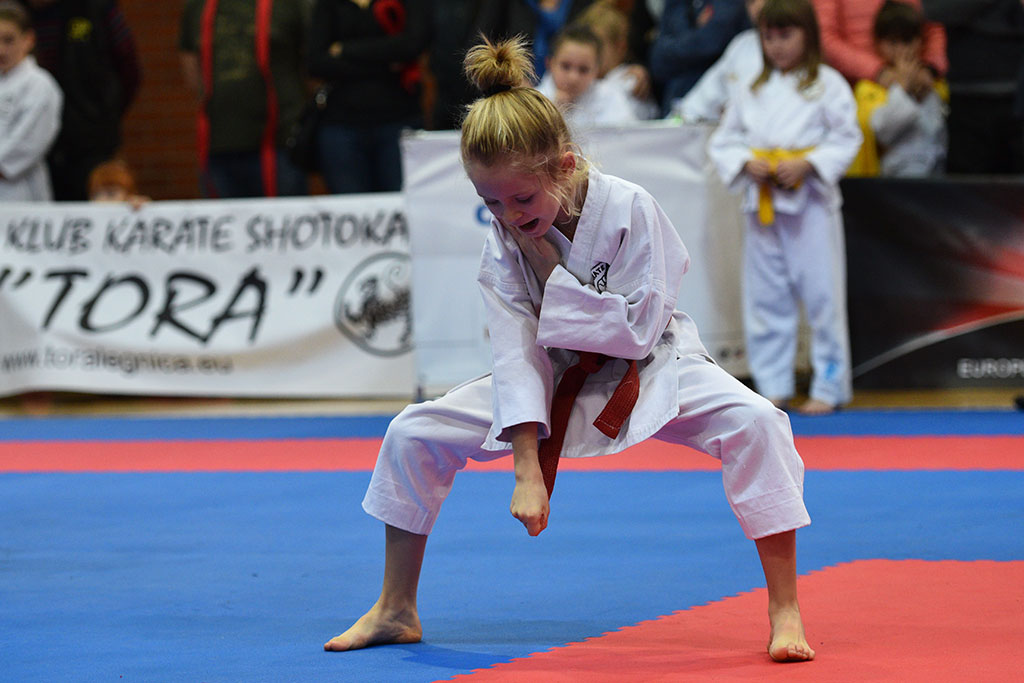 XVII CUPRUM CUP – International Karate WKF Polish Open 2016.Cz.2