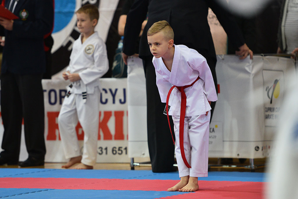 XVII CUPRUM CUP – International Karate WKF Polish Open 2016.Cz.2