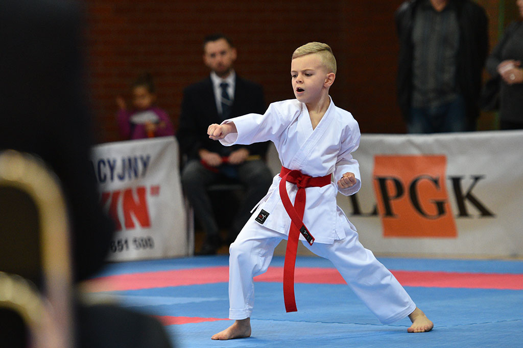 XVII CUPRUM CUP – International Karate WKF Polish Open 2016.Cz.2