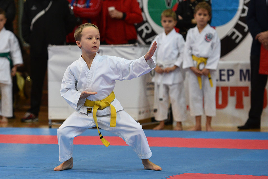 XVII CUPRUM CUP – International Karate WKF Polish Open 2016.Cz.2