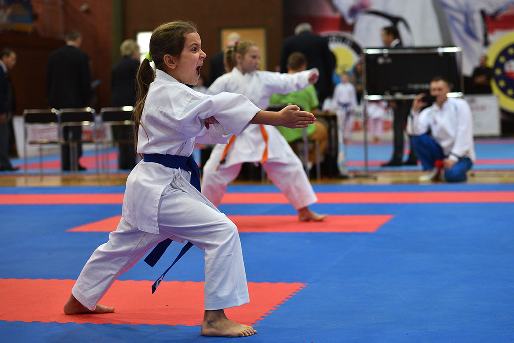 XVII CUPRUM CUP – International Karate WKF Polish Open 2016.Cz.2