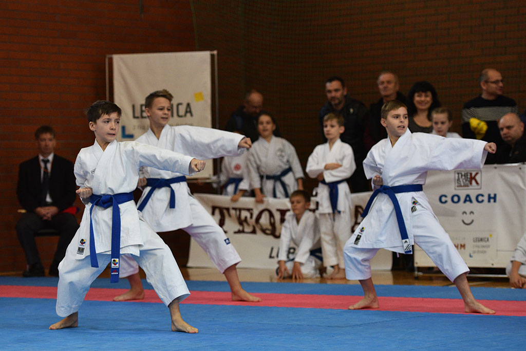 XVII CUPRUM CUP – International Karate WKF Polish Open 2016.Cz.2