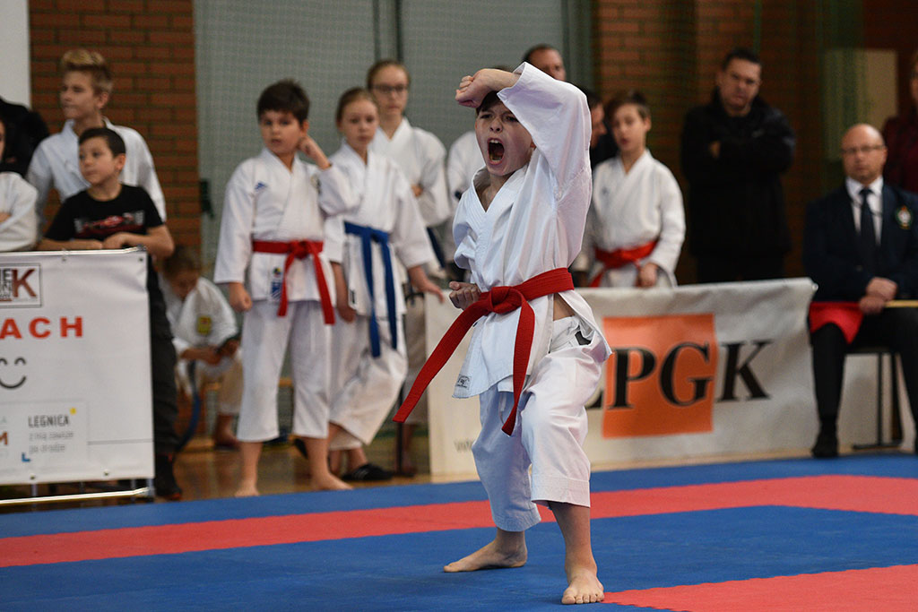 XVII CUPRUM CUP – International Karate WKF Polish Open 2016.Cz.2