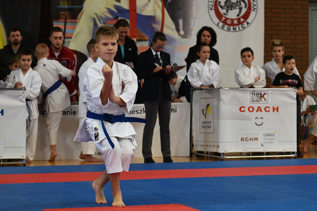 XVII CUPRUM CUP – International Karate WKF Polish Open 2016.Cz.2
