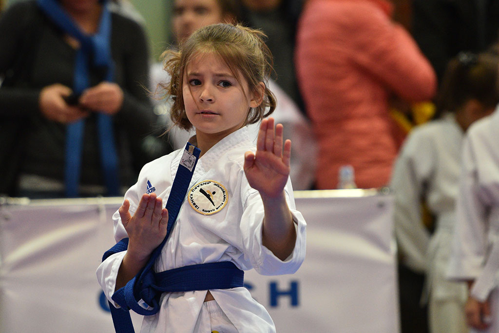 XVII CUPRUM CUP – International Karate WKF Polish Open 2016.Cz.2