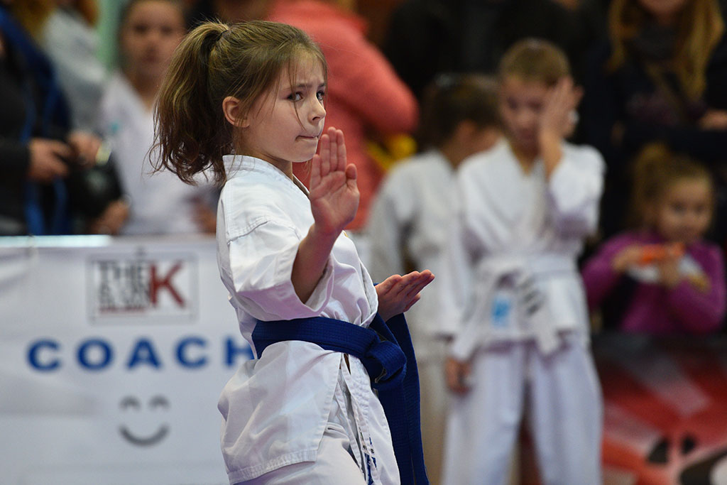 XVII CUPRUM CUP – International Karate WKF Polish Open 2016.Cz.2