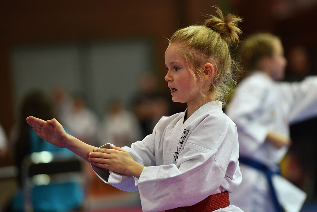 XVII CUPRUM CUP – International Karate WKF Polish Open 2016.Cz.2