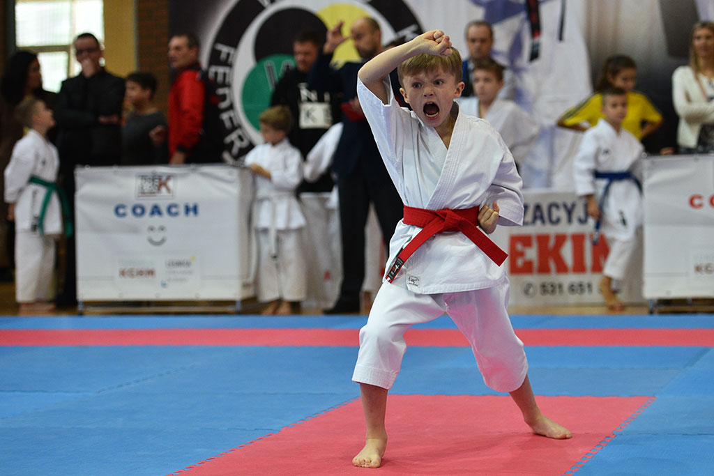 XVII CUPRUM CUP – International Karate WKF Polish Open 2016.Cz.2