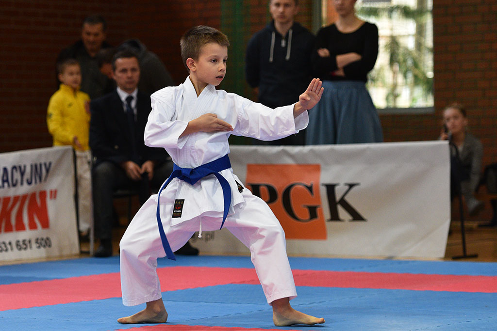 XVII CUPRUM CUP – International Karate WKF Polish Open 2016.Cz.2